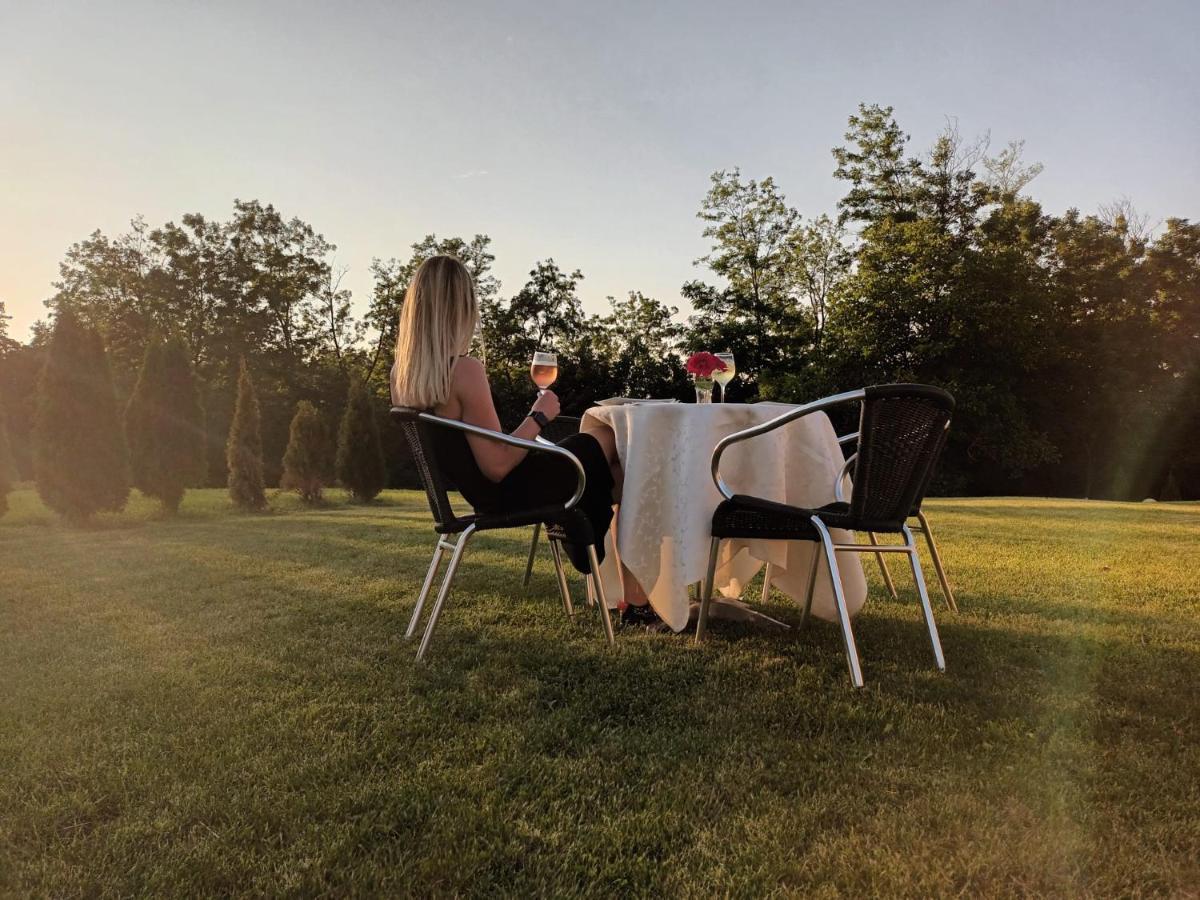Pensiunea Daiadela Dusesti Buitenkant foto